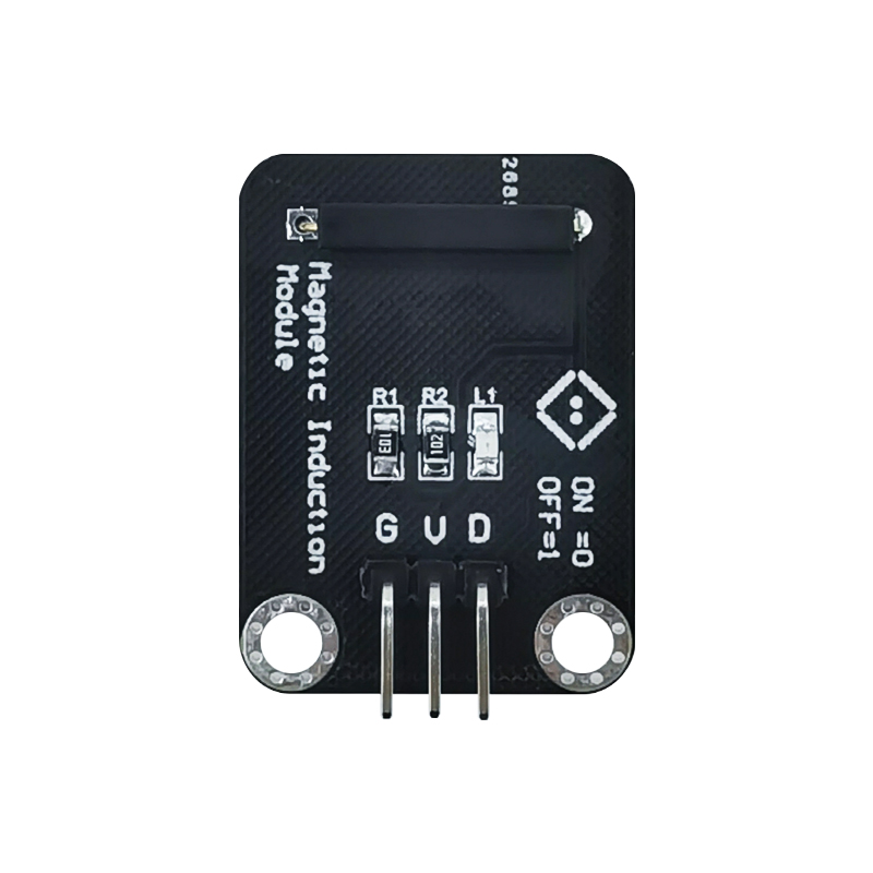 Reed magnet switch