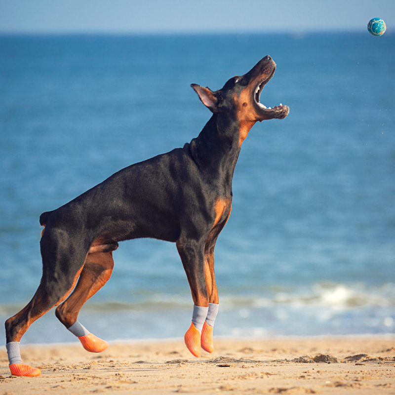 Pet Dog Anti-slip Waterproof Socks Shoes Sport Pet Boots